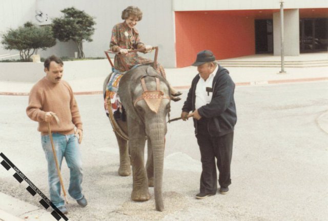 Ruth Nicholson Elephant Ride