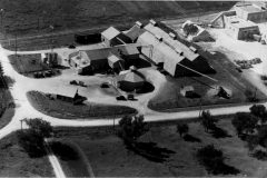 Ferris Watson Seed Company