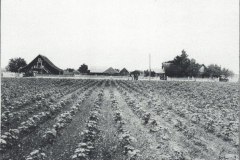 Goforth farmstead