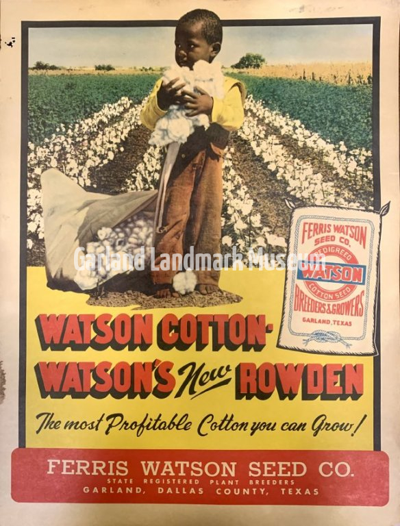 Ferris Watson Seed Co. Cotton Advertising Poster