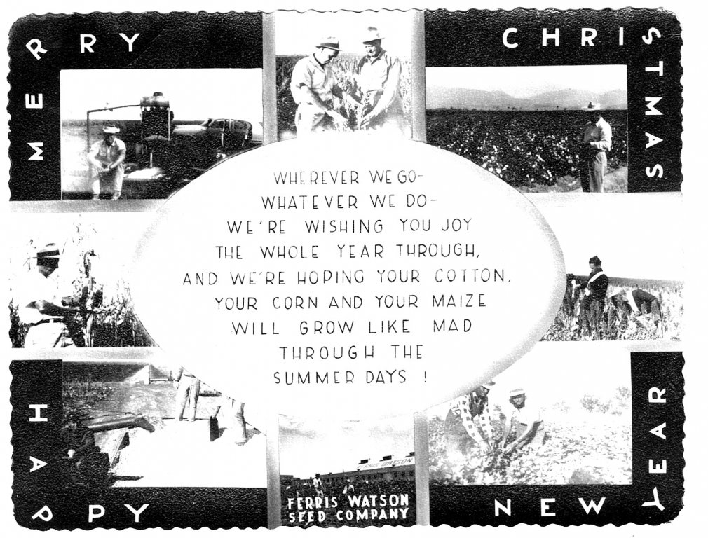 Ferris Watson Seed Company Christmas/New Years greeting card