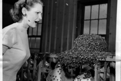 Wanda Wiggins and a Buyer-Rolnick hat covered in bees at the Buyer-Rolnick factory May 7, 1950.