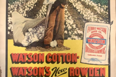 Ferris Watson Seed Co. Cotton Advertising Poster