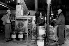 Three Ferris Watson Seed Company workers weigh and sack cotton seed while another man supervises. circa 1930s.