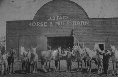 J.B. Pace Horse and Mule Barn