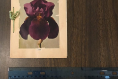 The Garland Garden Club Yearbook 1939-1940