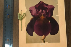 The Garland Garden Club Yearbook 1939-1940