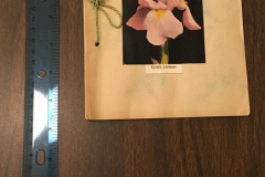 The Garland Garden Club Yearbook 1941-1942