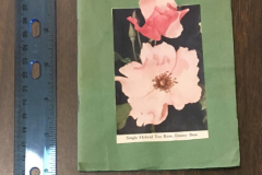 The Garland Garden Club Yearbook 1944-1945