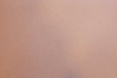 Graduation Speech Delivered by Mamie Castle Robinson