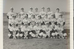 Owls A Team 1965 - 1966 Baseball