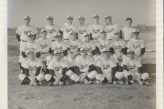 Owls A Team 1965 - 1966 Baseball
