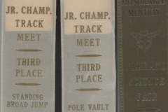 Weldon Holloway Award Ribbons