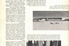"The Garland Story" in Texas Metro Magazine