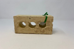 W.C. Daughtery Elementary School Brick