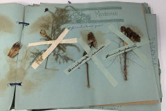 1931 GHS Graduate Memory Book