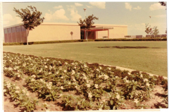 Holford Recreational Center flower bed