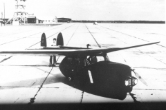 Flying Car (Roadable)