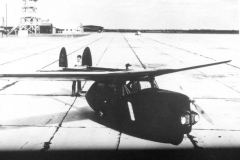 Flying Car (Roadable)