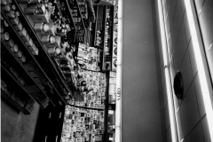 Payne's Drug Store
