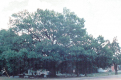 200617a_hi_res