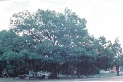 200617a_lo_res