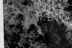 Car upside down in Duck Creek flood June 1949