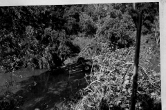 Car upside down in Duck Creek flood June 1949