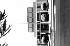 First National Bank