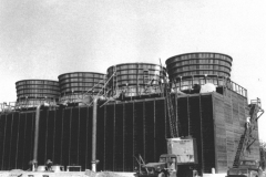 Cooling towers of the Newman Power Plant