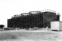 Cooling towers of the Newman Power Plant