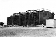 Cooling towers of the Newman Power Plant