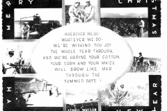 Ferris Watson Seed Company Christmas/New Years greeting card