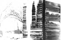 Ice Storm