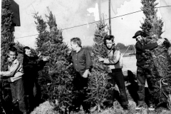 Optimists Club Christmas Tree Sale