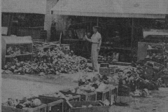 Flood 1949 - Duck Creek Village -  Watersoaked Food