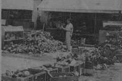 Flood 1949 - Duck Creek Village -  Watersoaked Food