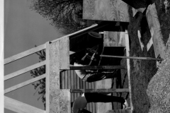 Building a communal toilet. Possibly Camp Gatewood on Duck Creek.