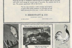 Southern Aircraft Advertisement