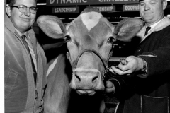 Future Farmers of America FFA Garland Chapter circa 1960's