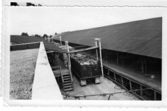 Craddock Foods - Pickle Factory 1951