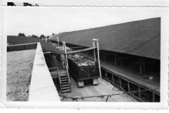 Craddock Foods - Pickle Factory 1951