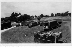 Craddock Pickle Factory - Trucks 1951