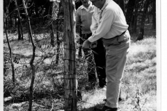 Building Fences for Gatewood Pavillion April 20, 1966