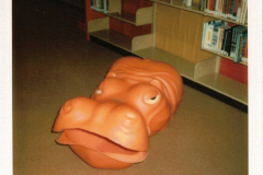 Inside the Garland Library in the 1970's