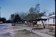 Back of houses on intersection of Grant and Wilson Streets