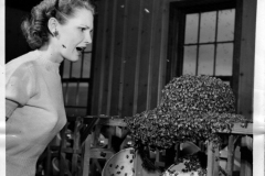 Wanda Wiggins and a Buyer-Rolnick hat covered in bees at the Buyer-Rolnick factory May 7, 1950.
