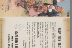 Garland Laundry Blotter