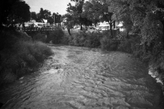Duck Creek Rising