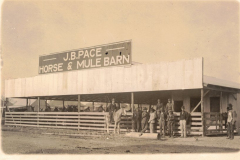 Postcard - J.B. Pace Horse & Mule Barn very early 1900's